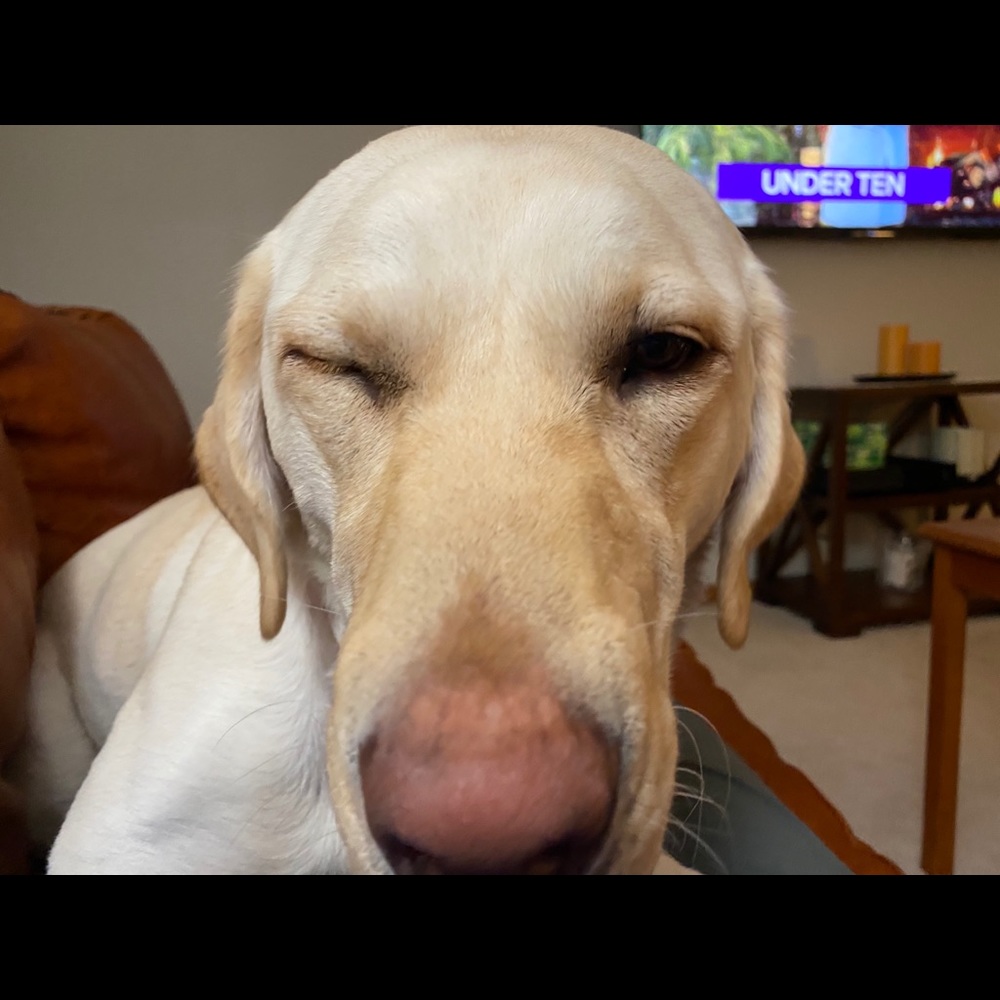 Meet your Posher, Kristi